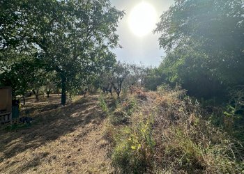 lu7 - Building land Luni - photo 7