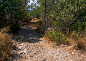foto_10 - Villa località merea, Imperia - photo 21