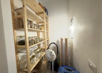 14 - Three-room apartment Via Rosolino Pilo 39, Guidonia Montecelio - photo 14