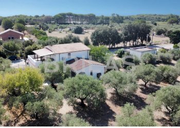 Villa lungomare di Sa Curcurica, Orosei - foto 3