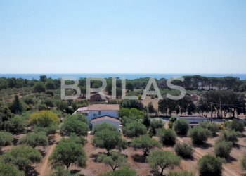 Villa lungomare di Sa Curcurica, Orosei - foto 6