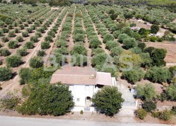 Villa lungomare di Sa Curcurica, Orosei - foto 7
