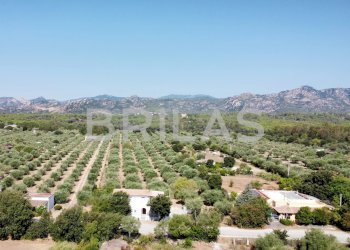 Villa lungomare di Sa Curcurica, Orosei - foto 8