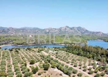 Villa lungomare di Sa Curcurica, Orosei - foto 9
