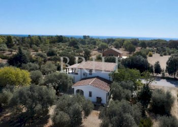 Villa lungomare di Sa Curcurica, Orosei - photo 2
