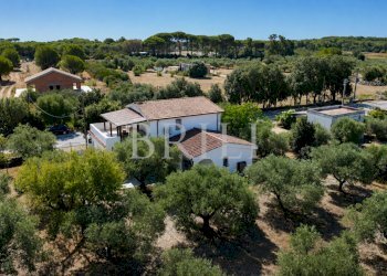 Villa lungomare di Sa Curcurica, Orosei - photo 3
