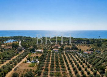 Villa lungomare di Sa Curcurica, Orosei - photo 5