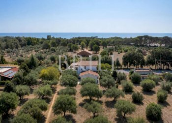 Villa lungomare di Sa Curcurica, Orosei - photo 6