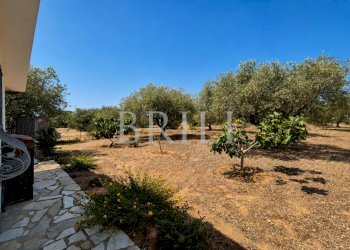 Villa lungomare di Sa Curcurica, Orosei - photo 17