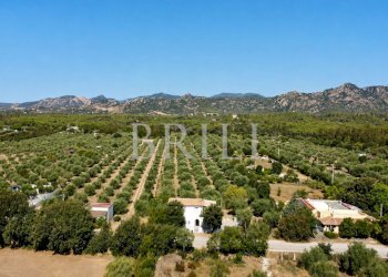 Villa lungomare di Sa Curcurica, Orosei - photo 21