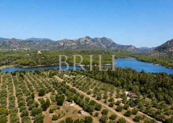 Villa lungomare di Sa Curcurica, Orosei - photo 22