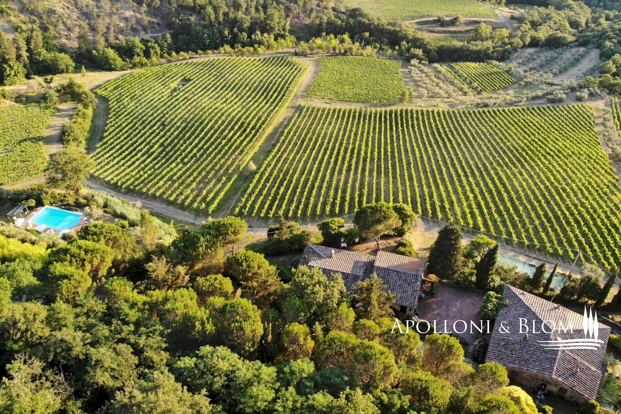 Azienda agricola Via Firenze, 9, Greve in Chianti - foto 1