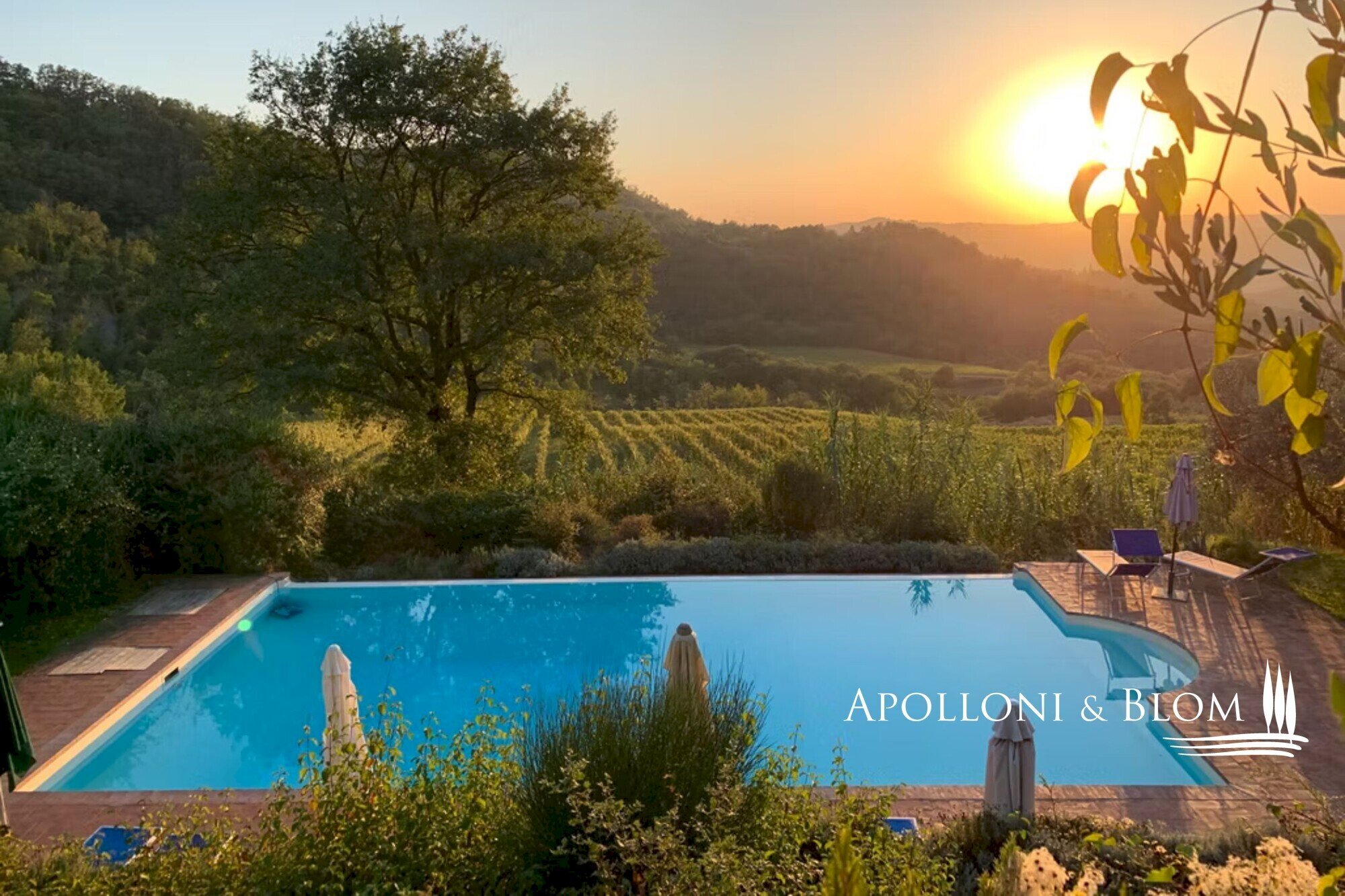 Azienda agricola Via Firenze, 9, Greve in Chianti - foto 3