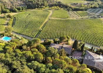 Azienda agricola Via Firenze, 9, Greve in Chianti - foto 1
