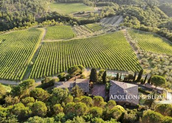 Azienda agricola Via Firenze, 9, Greve in Chianti - foto 2