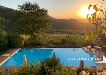 Azienda agricola Via Firenze, 9, Greve in Chianti - foto 3