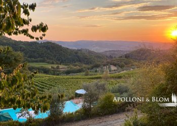 Azienda agricola Via Firenze, 9, Greve in Chianti - foto 4