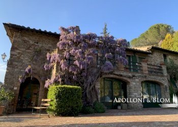 Azienda agricola Via Firenze, 9, Greve in Chianti - foto 6