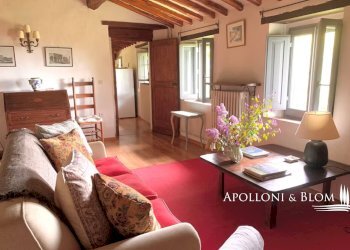 Azienda agricola Via Firenze, 9, Greve in Chianti - foto 10
