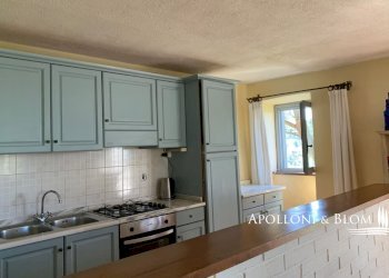 Azienda agricola Via Firenze, 9, Greve in Chianti - foto 12
