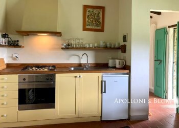 Azienda agricola Via Firenze, 9, Greve in Chianti - foto 13