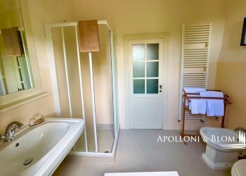 Azienda agricola Via Firenze, 9, Greve in Chianti - foto 18