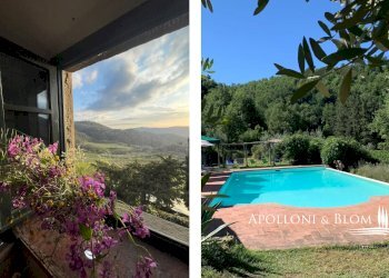Azienda agricola Via Firenze, 9, Greve in Chianti - foto 19
