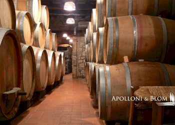 Azienda agricola Via Firenze, 9, Greve in Chianti - foto 20