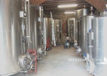 Azienda agricola Via Firenze, 9, Greve in Chianti - foto 21