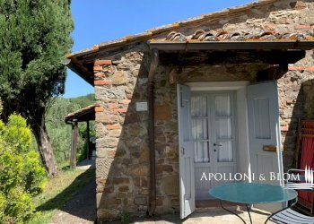 Azienda agricola Via Firenze, 9, Greve in Chianti - foto 22