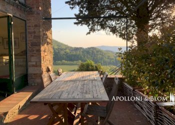 Azienda agricola Via Firenze, 9, Greve in Chianti - foto 23