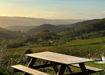 Azienda agricola Via Firenze, 9, Greve in Chianti - foto 24