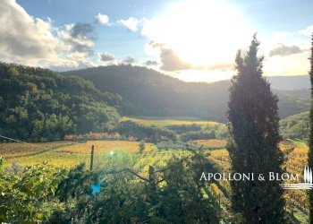 Azienda agricola Via Firenze, 9, Greve in Chianti - foto 25