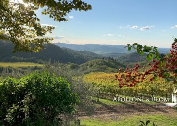 Azienda agricola Via Firenze, 9, Greve in Chianti - foto 27