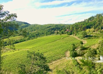 Azienda agricola Via Firenze, 9, Greve in Chianti - foto 28