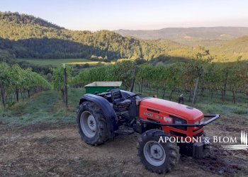 Azienda agricola Via Firenze, 9, Greve in Chianti - foto 30