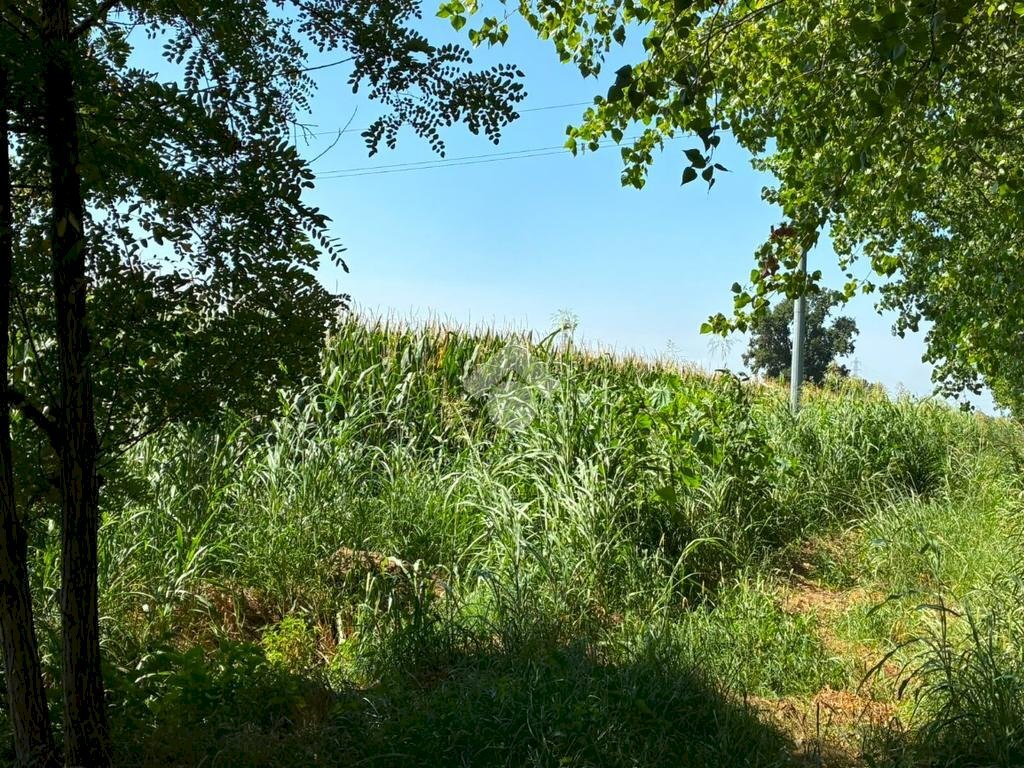 Terreno agricolo Cascina Riazzolo, Albairate - foto 1