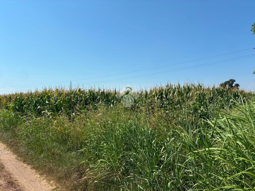 Terreno agricolo Cascina Riazzolo, Albairate - foto 2