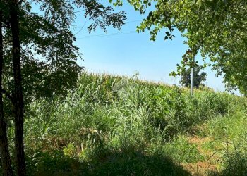 Terreno agricolo Cascina Riazzolo, Albairate - foto 1