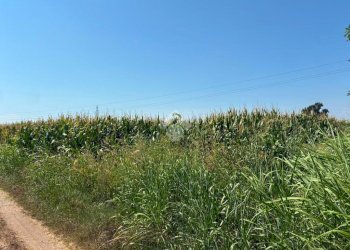 Terreno agricolo Cascina Riazzolo, Albairate - foto 2