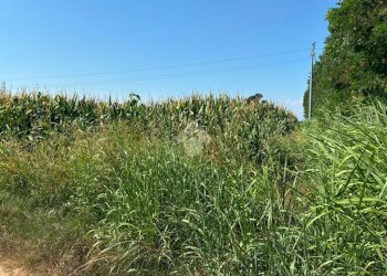 Terreno agricolo Cascina Riazzolo, Albairate - foto 3