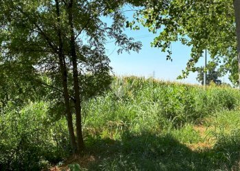 Terreno agricolo Cascina Riazzolo, Albairate - foto 4