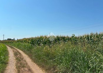 Terreno agricolo Cascina Riazzolo, Albairate - foto 5