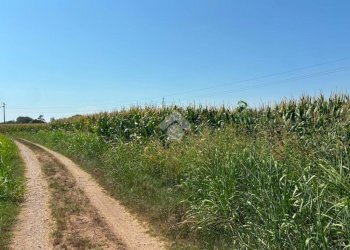 Terreno agricolo Cascina Riazzolo, Albairate - foto 6
