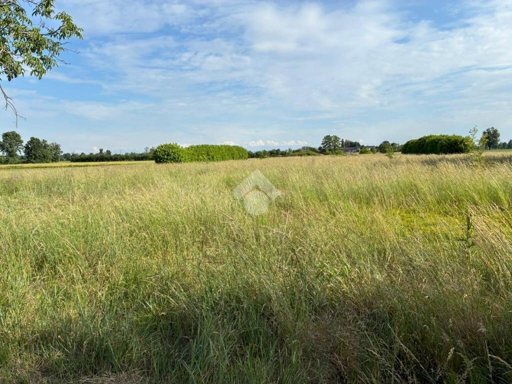 Terreno agricolo Via Giuseppe Mazzini, Corbetta - foto 1