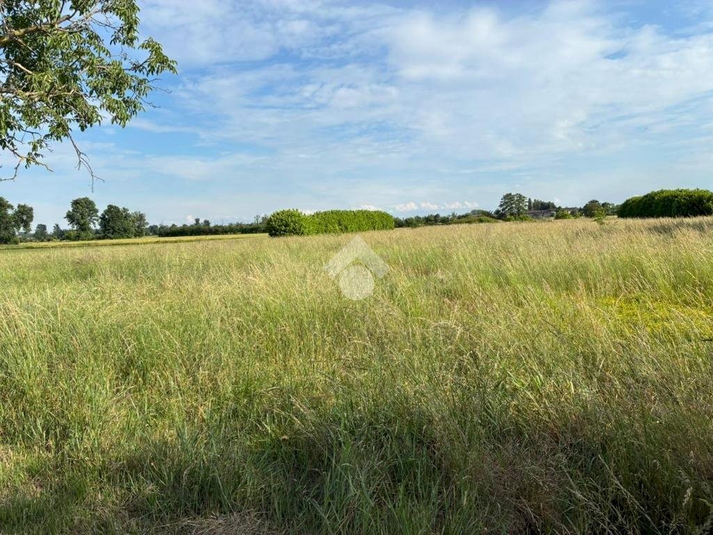 Terreno agricolo Via Giuseppe Mazzini, Corbetta - foto 2