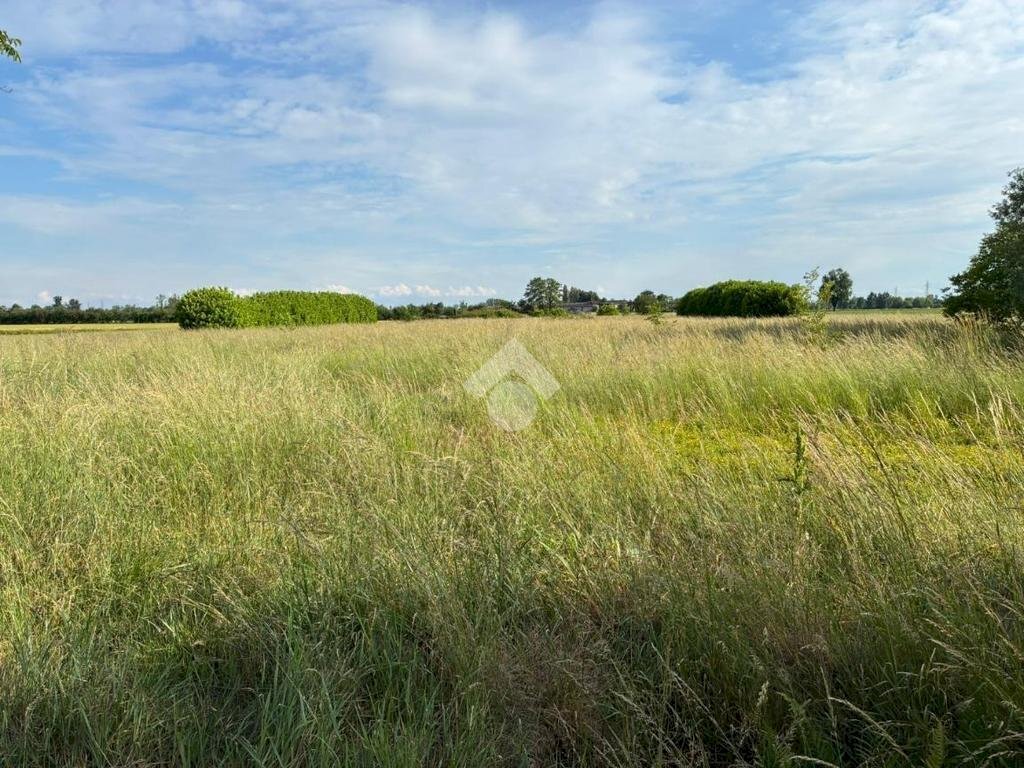 Terreno agricolo Via Giuseppe Mazzini, Corbetta - foto 3