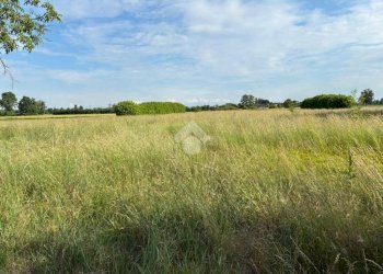 Terreno agricolo Via Giuseppe Mazzini, Corbetta - foto 1
