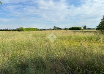 Terreno agricolo Via Giuseppe Mazzini, Corbetta - foto 3