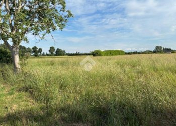 Terreno agricolo Via Giuseppe Mazzini, Corbetta - foto 4